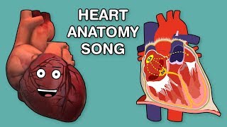 HEART ANATOMY SONG [upl. by Vivie]