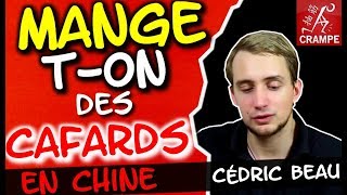 Mangeton des CAFARDS en Chine [upl. by Aehcim]