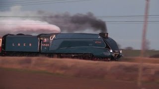 LNER A4 4464 Bittern Frinkley Lane 07122013 [upl. by Anabella]