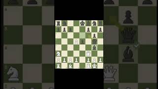 punish scholar mate punishers chess chessedit [upl. by Enaz]