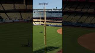 Pete Alonso nukes in batting practice  Mets mlb [upl. by Asyal]