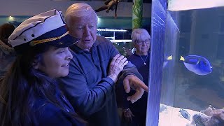 Inside California Education Cabrillo High School Aquarium – Diving into Marine Science [upl. by Aneger]