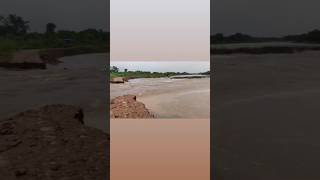 Tripathi lo Settiguntha aney Village lo full Varasam 🌊☁️ ap lo rine andara apnews ytshorts [upl. by Noskcire]