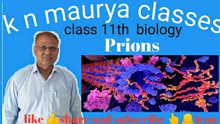 Prions Class 11th [upl. by Romo]