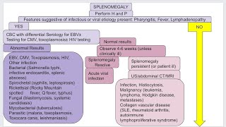 Splenomegaly in pediatric [upl. by Burdett]