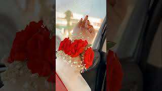 Aise na jao piya song music newsong arijitsingh love enjoyfreetime [upl. by Attelocin]