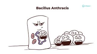 Bacillus Anthracis  Properties Pathology Disease Management Approach [upl. by Jacynth]