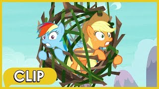 Getting Lost in the Woods  MLP Friendship Is Magic Season 8 [upl. by Gregor401]