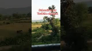 Ina Mina Dika kar lo bhojpuri song 💞💞viralvideo [upl. by Cheke987]