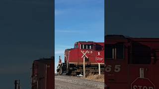 Canadian Pacific 133 Chesterville Ont Nov 1524 [upl. by Fergus]