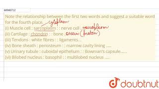 Note therelationship between the first two words and suggest a suitable word for the fourth plac [upl. by Carlo]