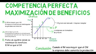 Para Que Sirve la Linaza – 10 Beneficios y Propriedades Que Debes Conocer [upl. by Yeldar]