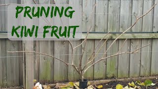 Pruning Kiwi Fruit [upl. by Mattah]