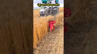 गेहूं निकालने की सबसे अच्छी मशीन❓ Best wheat threshing machine [upl. by Elleuqar]