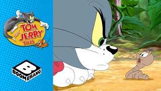 Tom amp Jerry  How many Jerrys  Boomerang UK [upl. by Lockhart175]