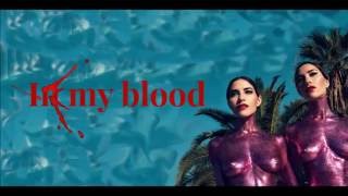 In My Blood  The Veronicas Lyrics [upl. by Nnayrrehs]