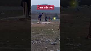 best wicket cricket 🏏 video shorts [upl. by Annaear]