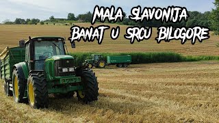 MALA SLAVONIJA Banat u srcu BILOGORE topliner4065 johndeere johndeere6400 pšenicajohndeere6620 [upl. by Joo]