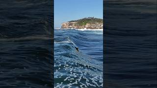 BELOW SEA LEVEL GLASS with Ben Sawyer  Cape Solander  Sky Monkey bodyboarding [upl. by Baillie226]