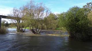 River Wye Hay on Wye 181024 [upl. by Anorahs186]