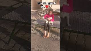 Bss ek apna h tu❤🐶 shorts youtubeshorts viralvideo trending doglover [upl. by Bigford]