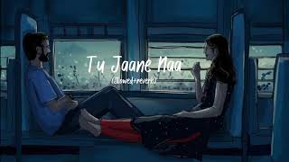 Tu Jaane Na  Atif Aslam song Slowed  reverb ranbirkapoor love [upl. by Paddie]