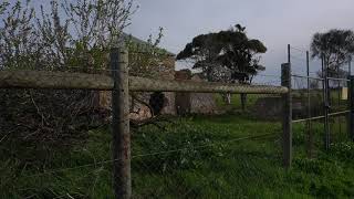 Pingle Farm Ruins Old Noarlunga South South Australia [upl. by Moseley]