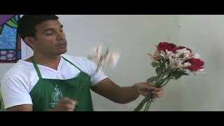 quotGRATISquot CURSO BASICO DE FLORISTERIA [upl. by Dowling]