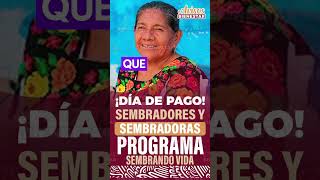 ¡CORRELE ya esta el pago para el programa Sembrando Vida [upl. by Bigot]