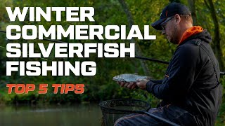 Winter Commercial Silverfish Fishing  Top 5 Tips  Adam Richards [upl. by Katherin]