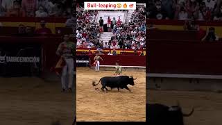 Bullfighting in spanish 🔥💯💯😲 bull [upl. by Yttik625]