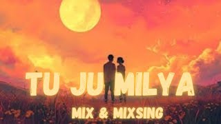 tu Ju milya  Slow amp Reverb   Lofi  New Punjabi song 2024  Latest New Punjabi song [upl. by Inimod]