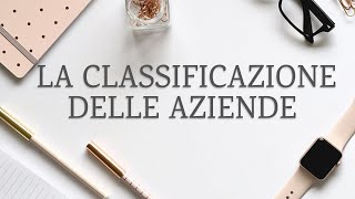 La Classificazione delle Aziende ed il loro Processo Produttivo  Economia Aziendale per tutti [upl. by Gustaf888]