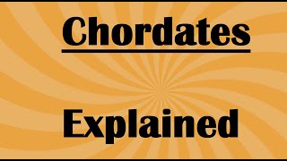 Chordates Fundamental Features and Characteristics [upl. by Eniarral]