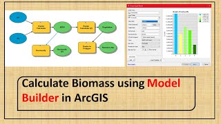 Calculate Biomass using Model Builder in Arcmap [upl. by Kotto]