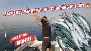 ONE MAN ONE BOAT  MACKERAL MAYHEM ON SCORCHING DAYfishing viral [upl. by Nealah266]