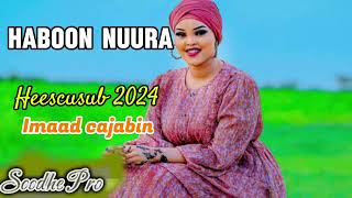 HABOON NUURA IMAAD CAJABIN HEES CUSUB 2024 [upl. by Noved]