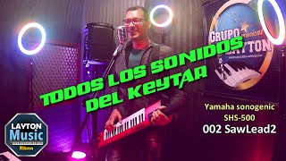 TODOS LOS SONIDOS  Keytar Yamaha SHS 500 Sonogenic  review español 2024 SOUNDS [upl. by Aisor924]