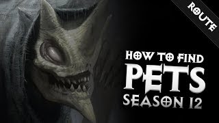 Diablo 3  HOW TO FIND PETS REALLY FAST SEASON 12  PWilhelm [upl. by Yance738]