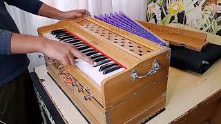 Exotic Pump amp Reed Organ Harmonium Sound  2 Reed  Compact Concert Kirtan Harmonium [upl. by Amaty880]