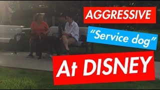 AGGRESSIVE “SERVICE DOG” AT DISNEY [upl. by Renelle162]