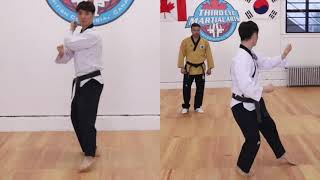 Koryo Poomsae 9 Instructional [upl. by Leyes]