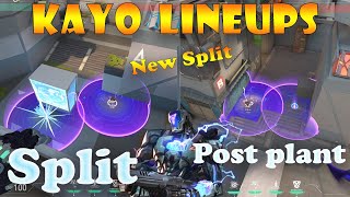 Top 15 New Split Kayo Post Plant Lineups  Kayo Lineups Split  Kayo Guide Split [upl. by Ettedo]