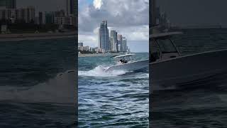 COBIA THREE MOTOR 350 cc Miami Haulover viral florida miami [upl. by Nottage]