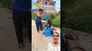 दिल Garden Garden हो गया 🤣😊 shorts viralvideo funny comedy ytshorts [upl. by Margi]