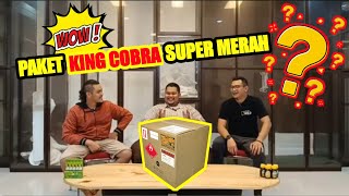 UNBOXING KING COBRA SUPER MERAH DARI SUMATRA YANG MENYERAMKAN [upl. by Harriett]