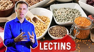 Lectins and Autoimmune Conditions [upl. by Huberty216]