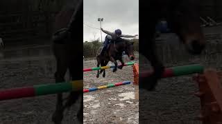 Day 9 horsemas TACKLESS jumping tommy [upl. by Odiug647]