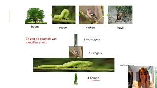 Samenvatting Ecologie amp Duurzaamheid 2MHV Biologie Voor Jou MAX [upl. by Atnaloj]