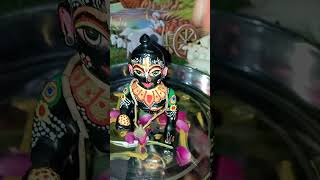 ekadashi per Kanha ji ko kis chij se snan karana chahie [upl. by Akehsar]